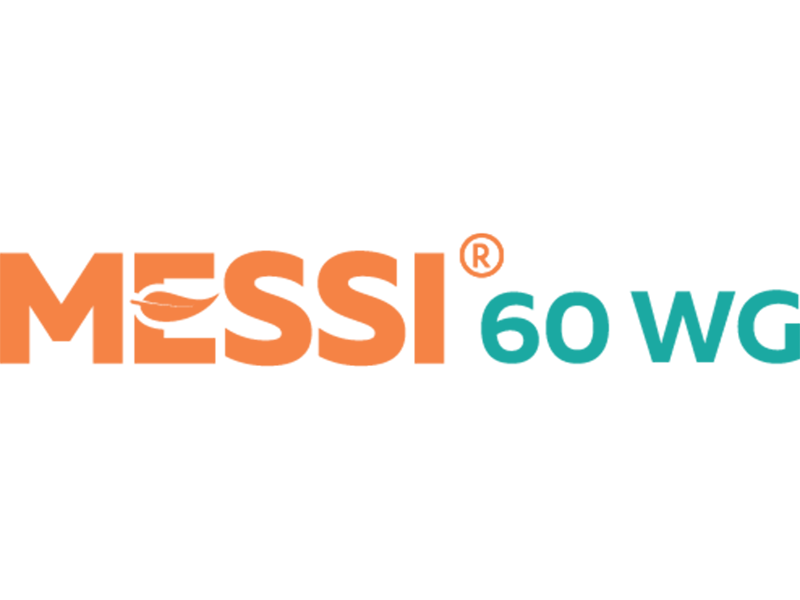 Messi 60 WG