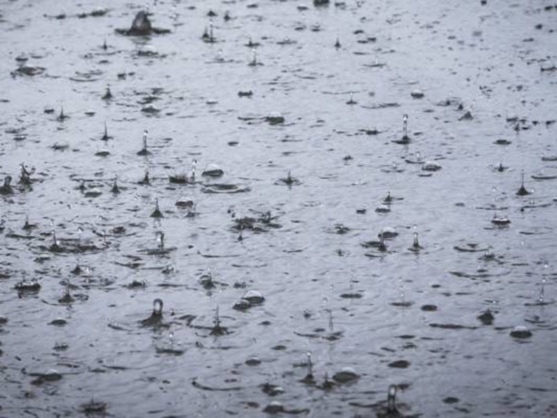 Kako kiša utiče na uspeh prskanja u ratarstvu?