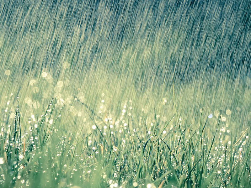 4725905_112018-kgo-shutterstock-acid-rain-img.jpeg