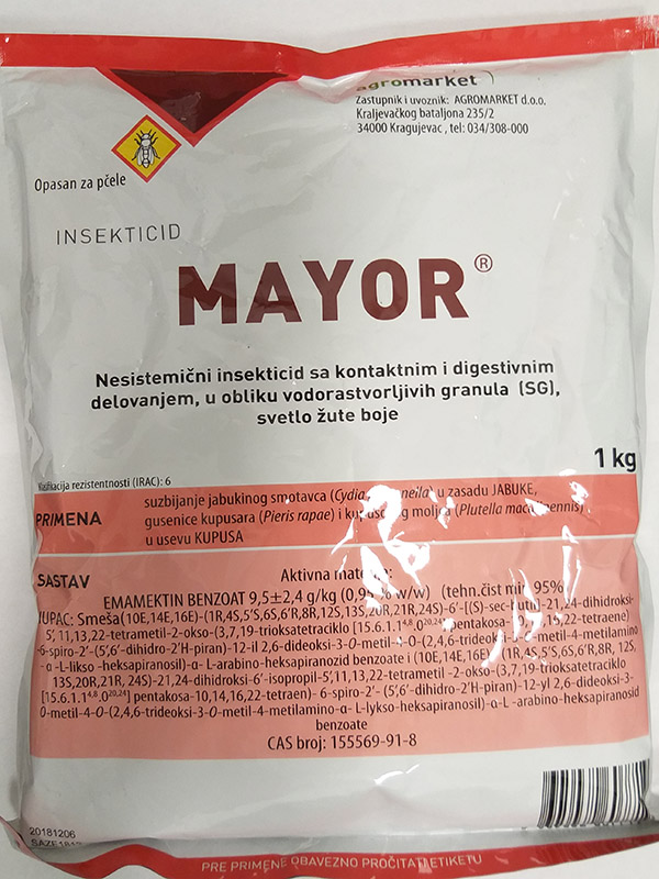 Mayor