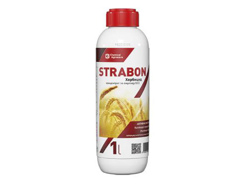 Strabon