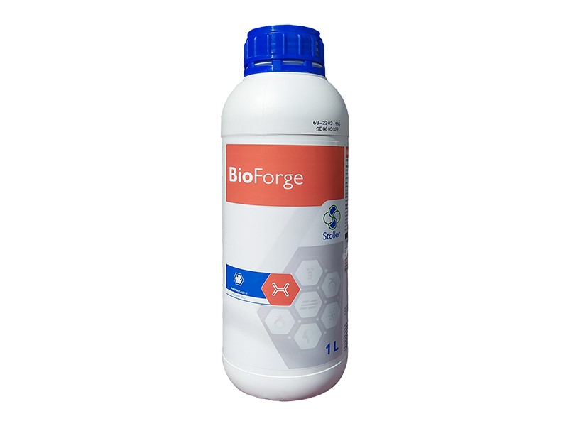 Bioforge a 1l Stoller