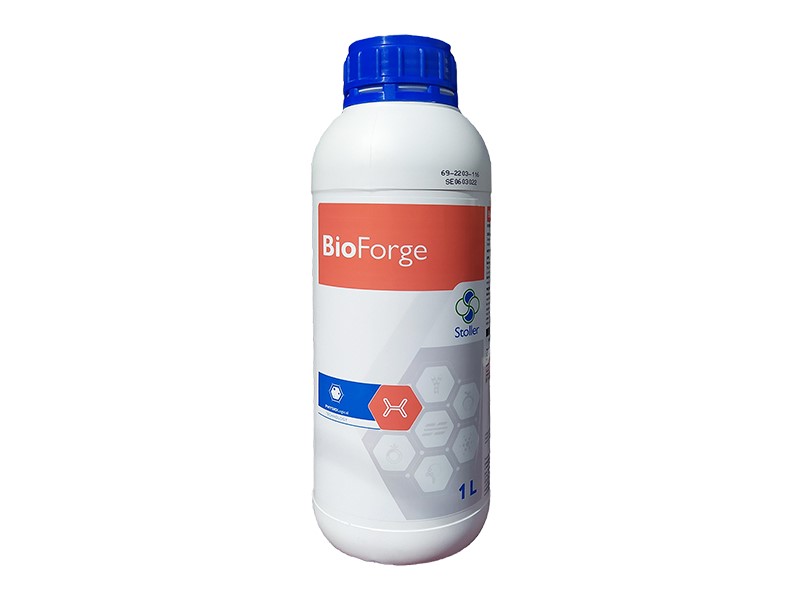 Bioforge A Stoller