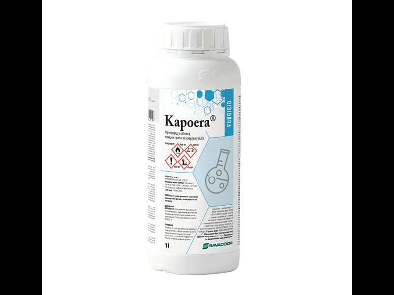 Kapoera